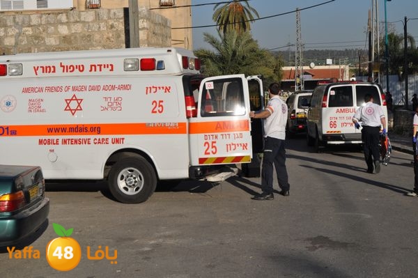 snakeluds310 (12).JPG